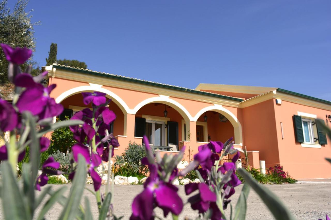 Villa Skafonas Sinarades Luaran gambar
